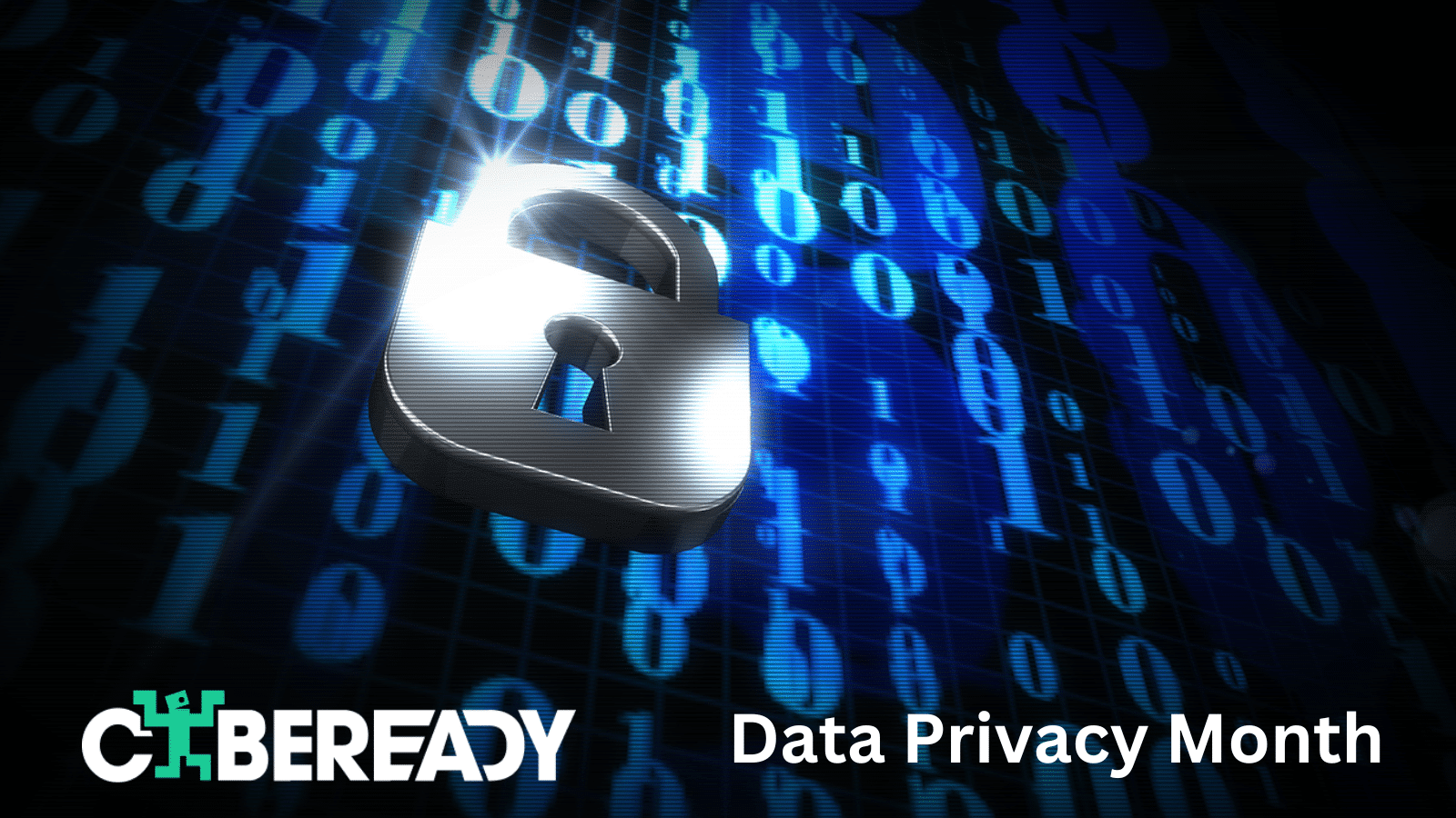 Data privacy Month