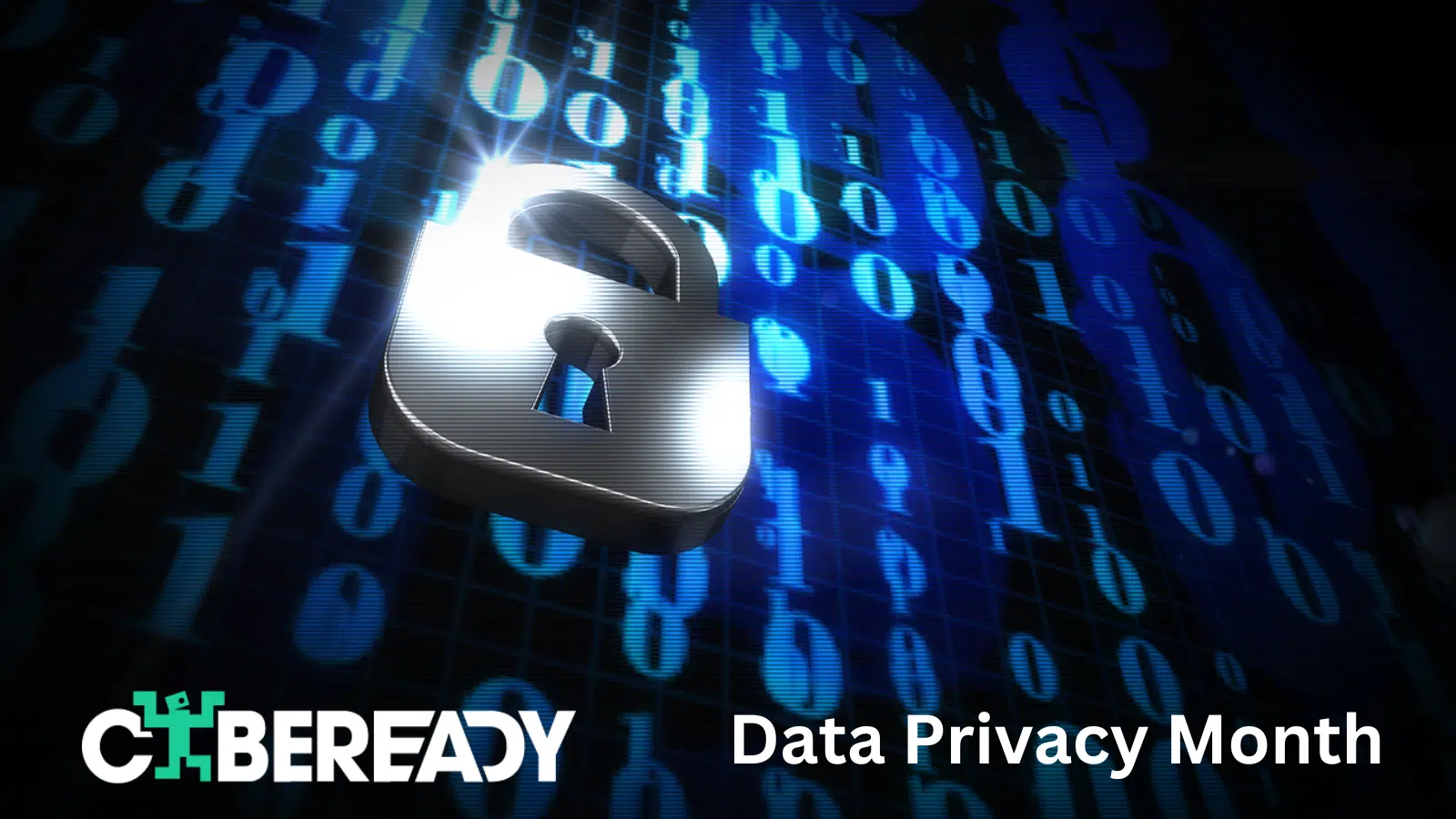 Data privacy month