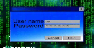 The Essential User