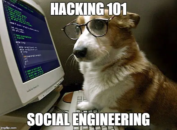 corgi social engineering
