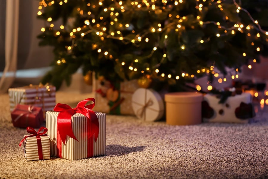 It’s the Phishiest Time of the Year Again! The Facts About Phishing Scams and the Holiday Season