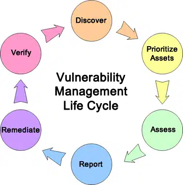 vulnearlability lifecycle
